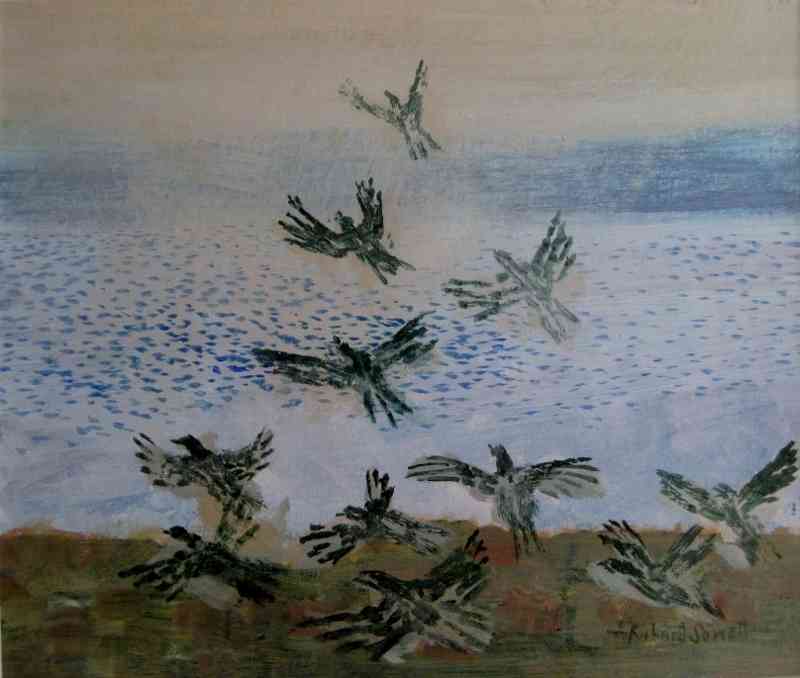 Birds rising over a Lake